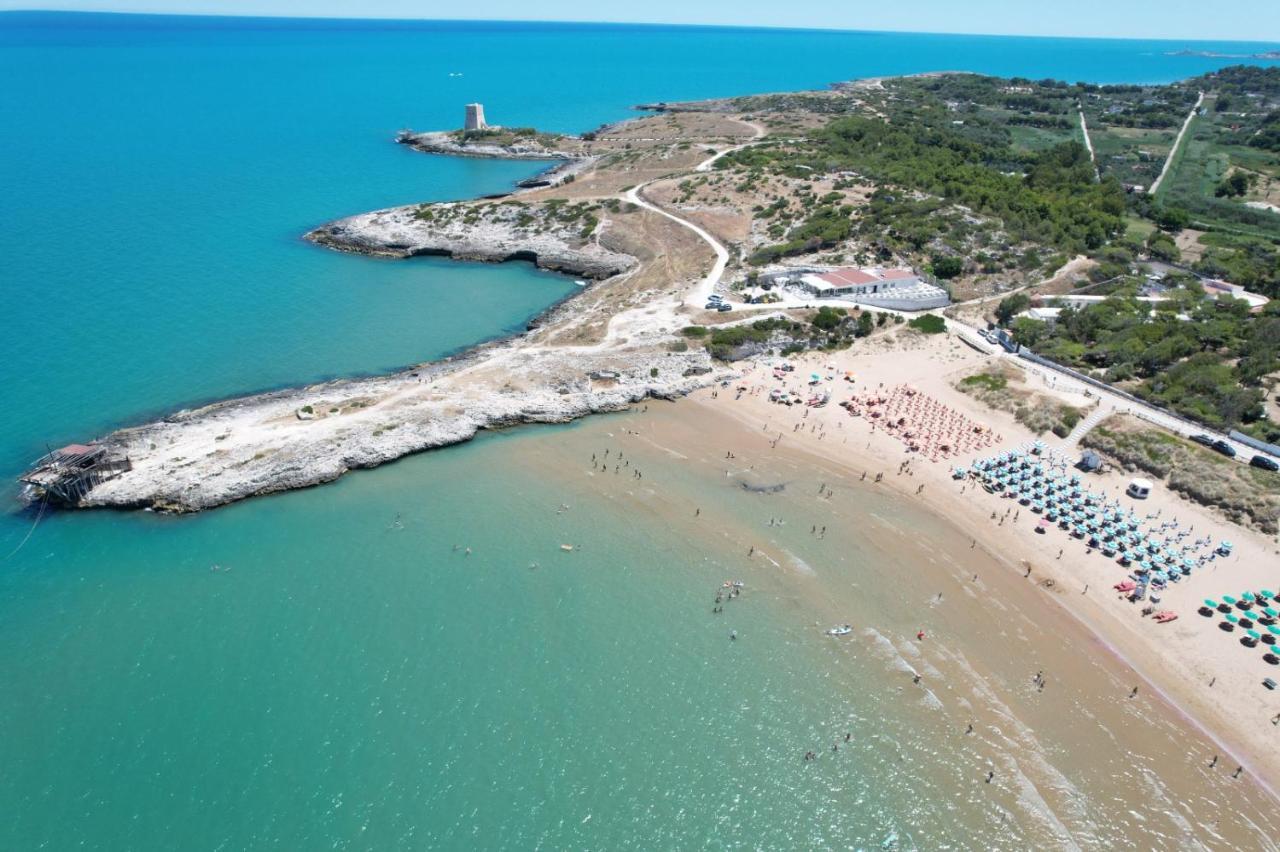 Villaggio Turistico Scialmarino 维耶斯泰 外观 照片