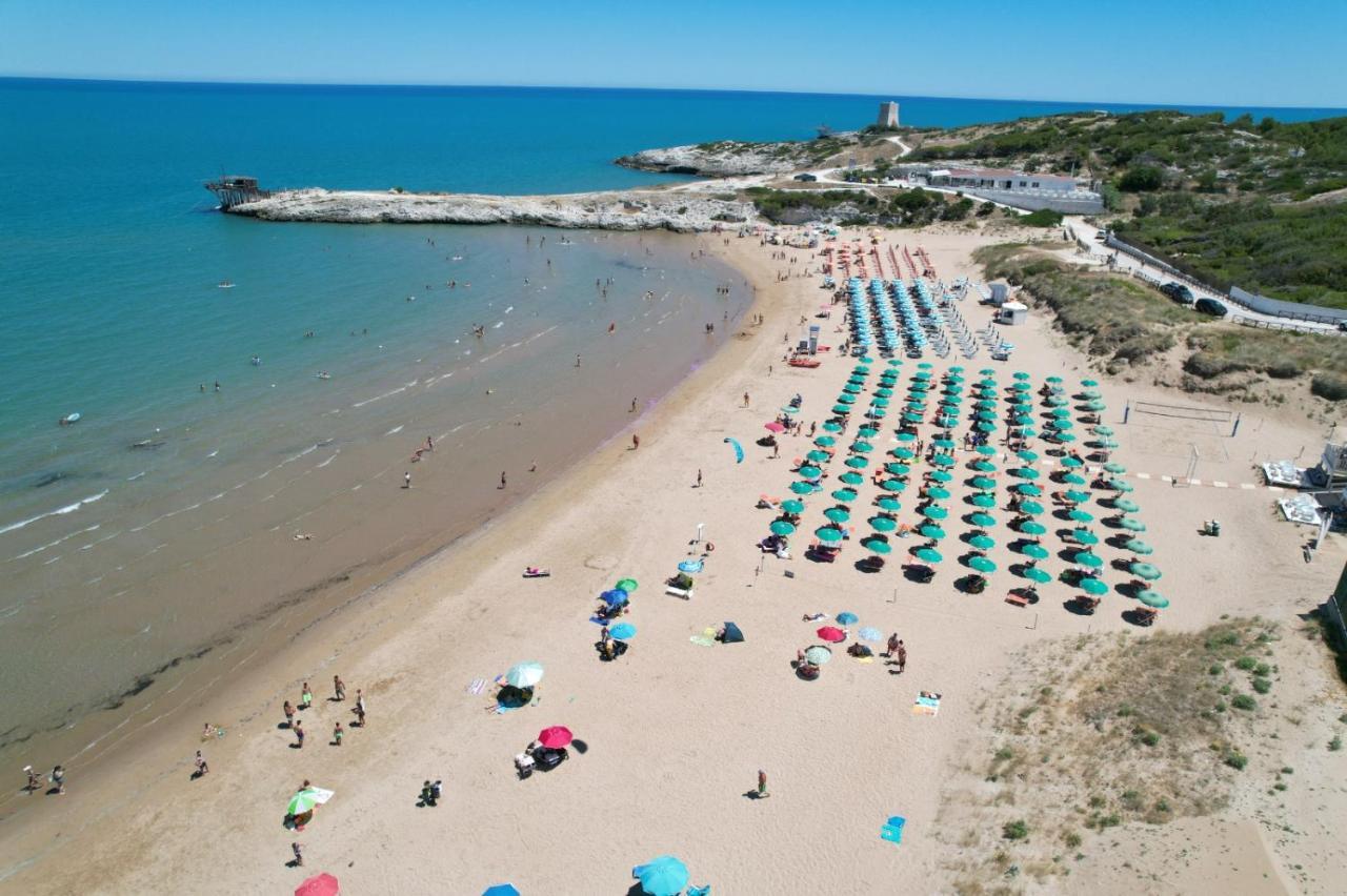 Villaggio Turistico Scialmarino 维耶斯泰 外观 照片
