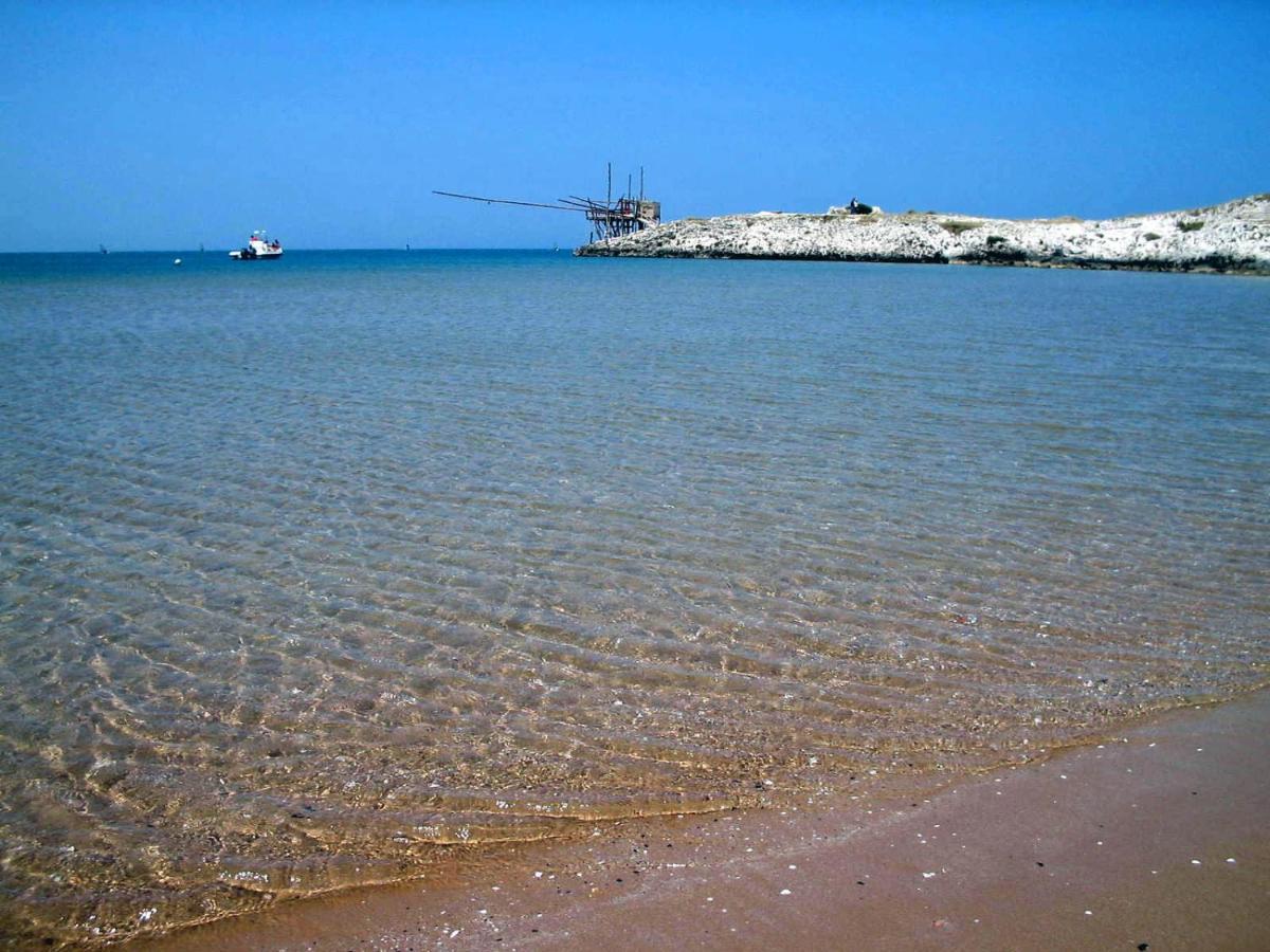 Villaggio Turistico Scialmarino 维耶斯泰 外观 照片