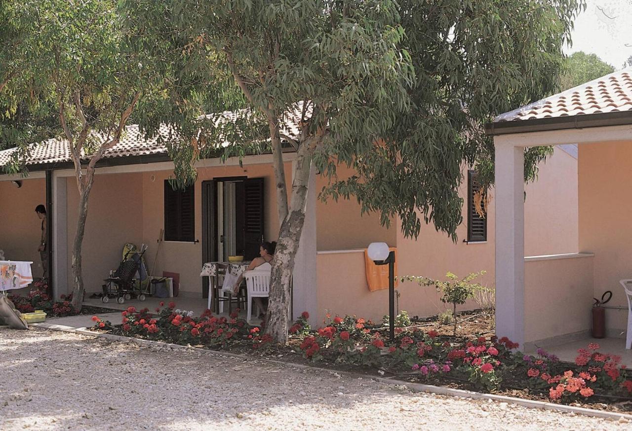 Villaggio Turistico Scialmarino 维耶斯泰 外观 照片