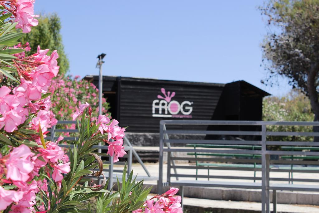 Villaggio Turistico Scialmarino 维耶斯泰 外观 照片
